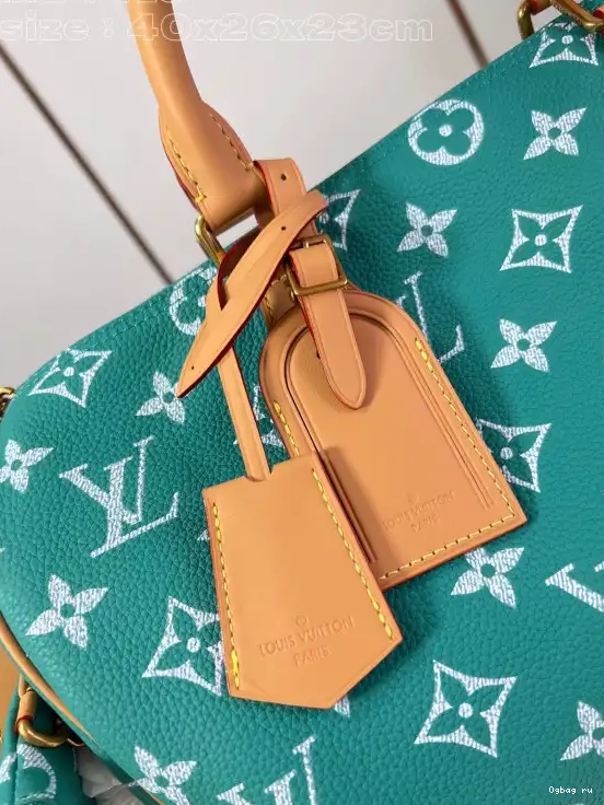 Louis Vuitton 40 SPEEDY 0528